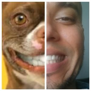 Meet your Posher, Alan yamil